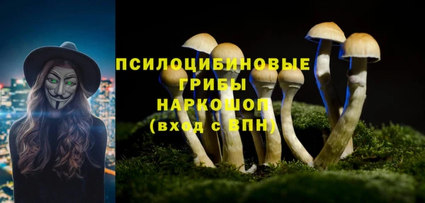 спиды Беломорск