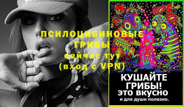 круглые Белокуриха