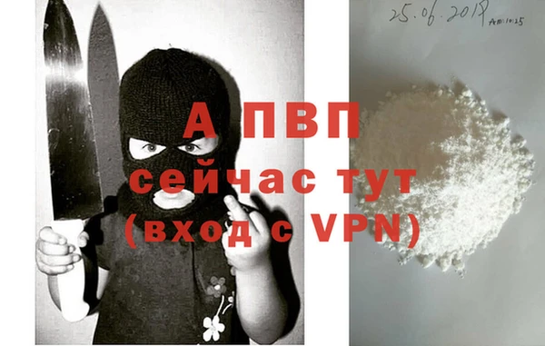 круглые Белокуриха