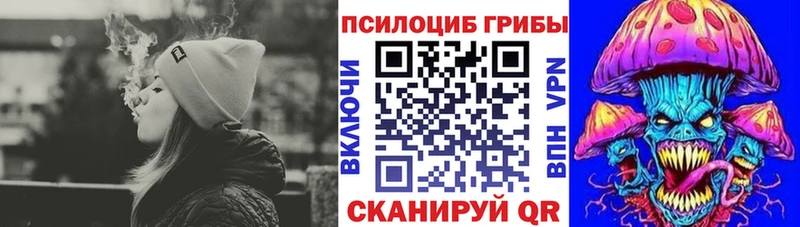 Псилоцибиновые грибы Psilocybe  где найти   Городовиковск 